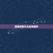 属鼠的配什么生肖最好，属鼠配属什么属相好