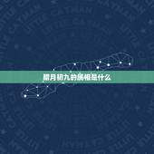 腊月初九的属相是什么，农历十二月初九十二生肖中是属什么