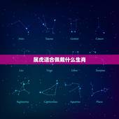 属虎适合佩戴什么生肖，属虎的佩戴什么动物