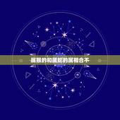 属猴的和属蛇的属相合不，属猴的跟什么属相比较和，什么属相不和？