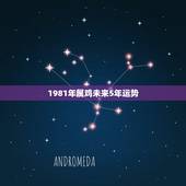 1981年属鸡未来5年运势 1981年属鸡的人婚姻