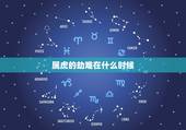 属虎的劫难在什么时候，属老虎的都有那几年出生的.