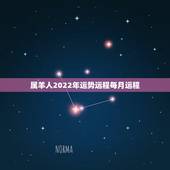 属羊人2022年运势运程每月运程，属羊人2023年每月运势