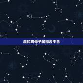 虎和鸡母子属相合不合，属鸡和属虎的生肖能相合吗？