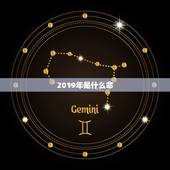 2019年是什么命，2019年4月26日 18:30 是什么命？