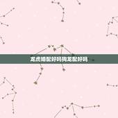 龙虎婚配好吗狗龙配好吗，龙虎可以配婚吗
