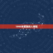 1995年属猪的人婚配，1995年女猪和什么属相最配
