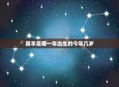 属羊是哪一年出生的今年几岁，属羊五岁那年出生的