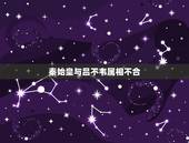 秦始皇与吕不韦属相不合，秦始皇和吕不韦的关系？