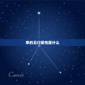 李的五行属性属什么，请问，起名的五行属性。比如李属什么