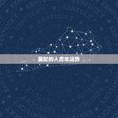 属蛇的人虎年运势 生肖蛇一生的情人