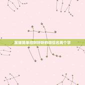 属猪简单招财好听的微信名两个字，71年属猪微信名字用什么，招财？