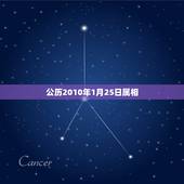 公历2010年1月25日属相，公历2004年1月25日出生的小孩农历应