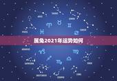 属兔2021年运势如何，2021年兔子的运势如何