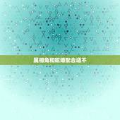 属相兔和蛇婚配合适不，属相兔和蛇的婚配如何