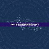 2023年出生的狗到现在几岁了(狗狗的年龄计算方法介绍)