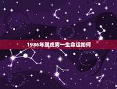 1986年属虎男一生命运如何，1986年属虎人的命运