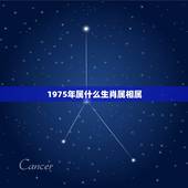 1975年属什么生肖属相属，我1975年的属兔配什么属相最好