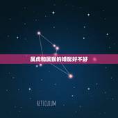 属虎和属猴的婚配好不好，1992男猴跟1998女虎