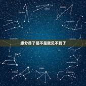 缘分尽了是不是就见不到了，缘分尽了的时候是不是也就忘记了那个人啊，若心