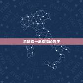 羊鼠在一起幸福的例子，羊和鼠其实很合不相冲