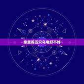 家里养五只乌龟好不好，家里养乌龟一般养几只