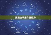 属虎白羊座今日运势，86年、属虎、白羊座、女、今年的运势怎么样？