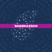 猪和猪婚配生宝宝好吗，属猪的与哪些属相婚配最好