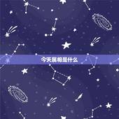 今天属相是什么，今天是什么生肖日