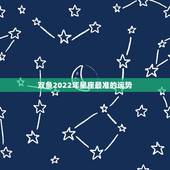 双鱼2022年星座最准的运势 双鱼座今年运势2022