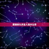 属猪的九月生人是什么命，九月出生是什么命