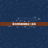 兔与鸡的属相能过一生吗，鸡和兔能过一生吗？