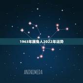1963年属兔人2022年运势，1963年牛年运势