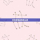中华草龟幼龟怎么养，中华草龟怎么养？