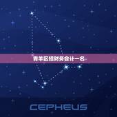 青羊区招财务会计一名，本公司要招聘一名会计，具体怎么写？