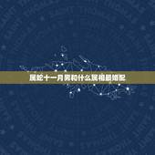属蛇十一月男和什么属相最婚配，属蛇婚配表，蛇男跟什么属相最配