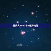 属鸡人2022年4运势如何，2023年属鸡人的全年运势