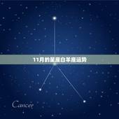 11月的星座白羊座运势，白羊座明天运势11月8日提防哪个星座