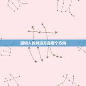 属狗人的财运方是哪个方向，属狗的人的财运贵人