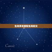 生肖男羊婚配生肖蛇女，属蛇和属羊的配吗