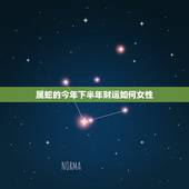 属蛇的今年下半年财运如何女性，1977蛇女的后半生