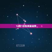 12月1日生肖鼠运势，1972年农历12月23日属鼠的人2014年运程