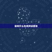 鼠和什么生肖财运更佳，属鼠用什么招财