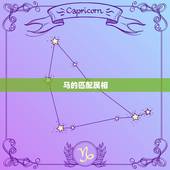 马的匹配属相，马属相的最佳合作伙伴的