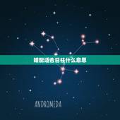 婚配适合日柱什么意思，合婚中男方第二个月柱和女方第三个日柱有合，是什么