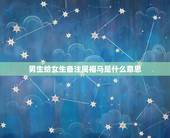 男生给女生备注属相马是什么意思，男属龙与女属马婚姻