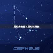 属相兔和什么属相配更佳，属兔人要珍惜的2个人