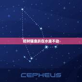 招财猫鱼趴在水底不动，招财猫鱼不吃饲料，一买回来就一动不动地在缸底，喂