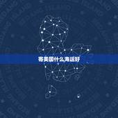 寄美国什么海运好，海运往美国寄东西多少钱啊？