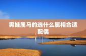 男娃属马的选什么属相合适配偶，男生属马的和什么属相最配